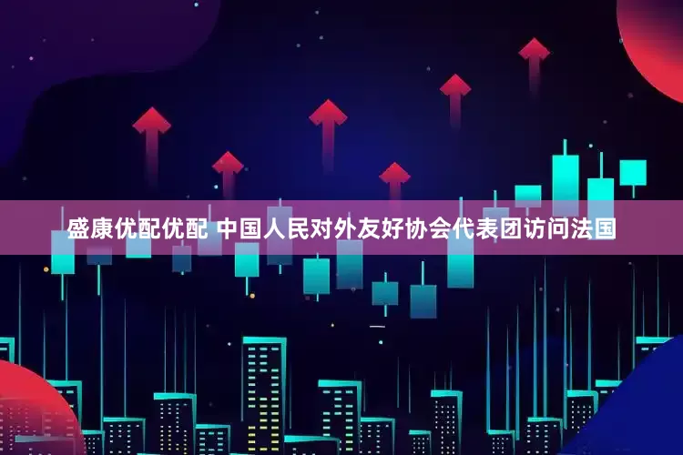 盛康优配优配 中国人民对外友好协会代表团访问法国