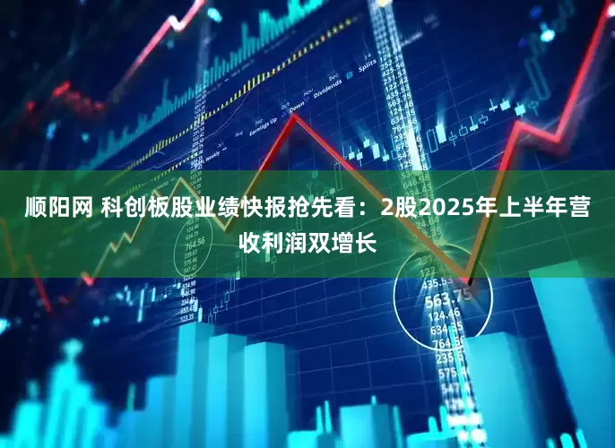 顺阳网 科创板股业绩快报抢先看：2股2025年上半年营收利润双增长