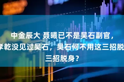中金辰大 聂曦已不是吴石副官,蔡孝乾没见过吴石,吴石何不用这三招脱身?